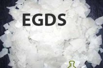 EGDS copy